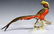 Hutschenreuther Selb Porcelain Golden Pheasant - 2