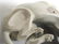 Continental Porcelain Figure of a Greyhound - 6