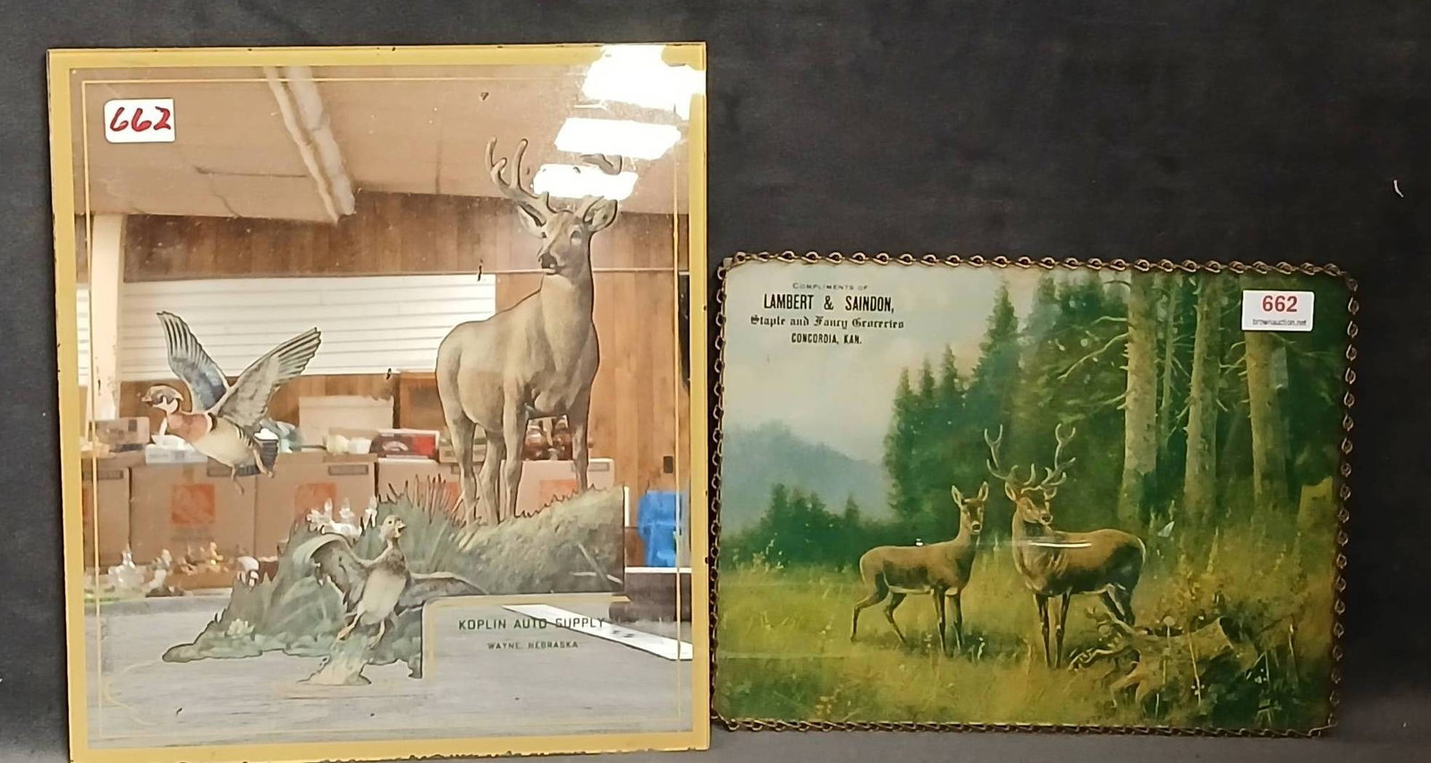Deer Advertising Pictures (1 of 8)