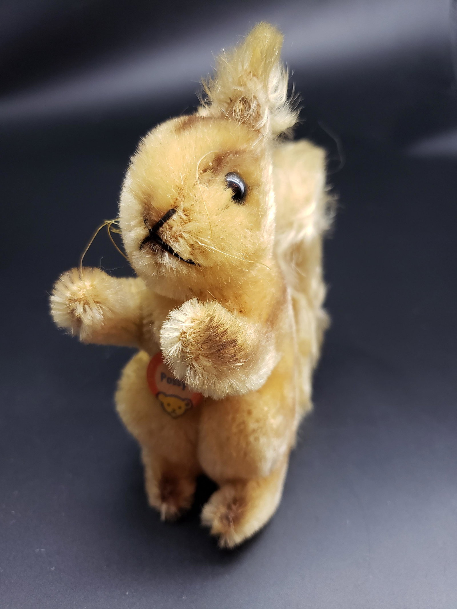 STEIFF SQUIRREL POSSY WITH ORIGINAL TAG: Steiff Squirrel Possy with Original Tag Piece is 5" x 5" All items from this Auction Located in in Hollywood Florida Warehouse For Shipping Call today for quote they have item numbers and Pak Mail is 