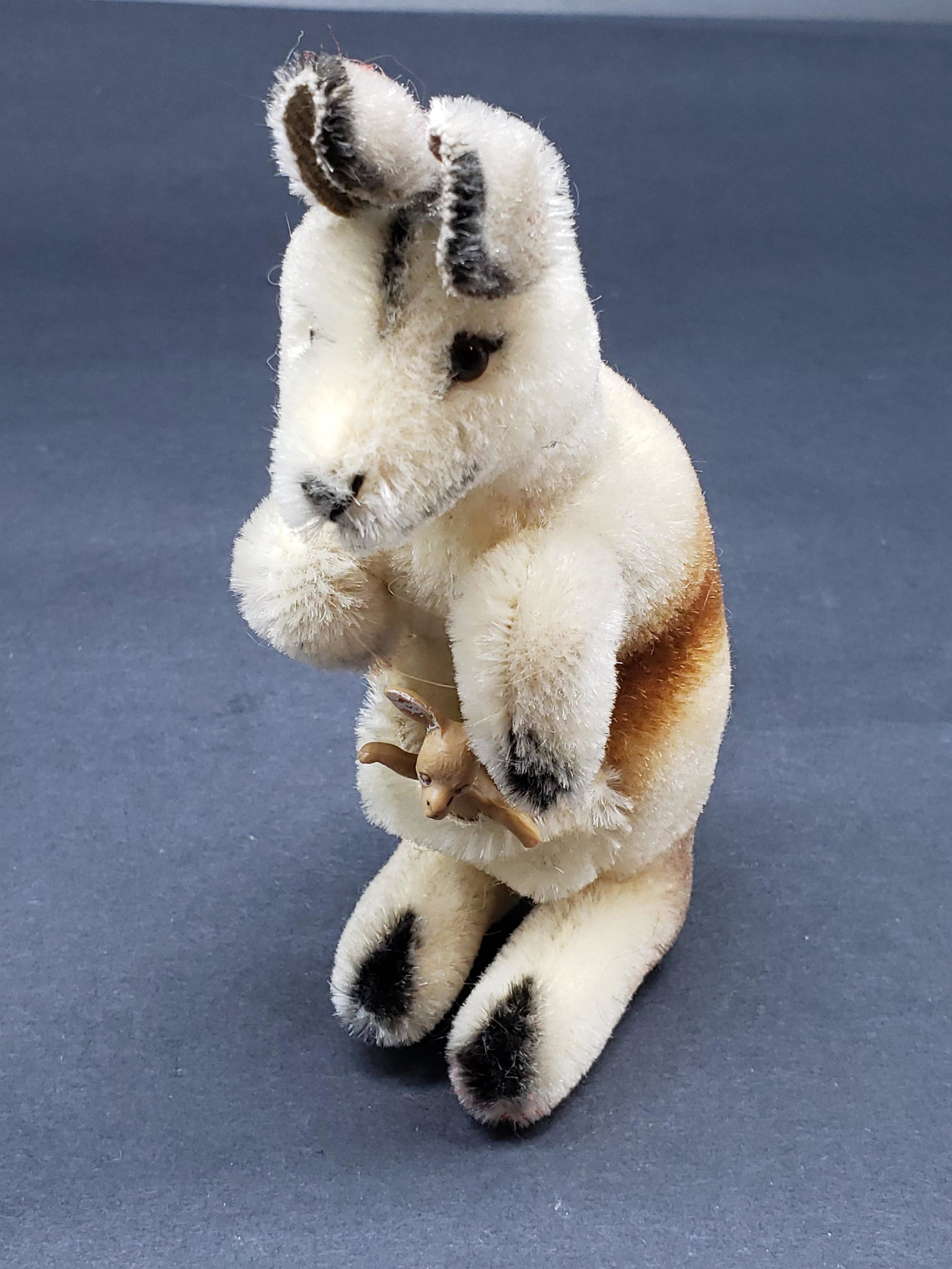 STEIFF KANGAROO MISSING ORIGINAL EAR TAG (1 of 4)