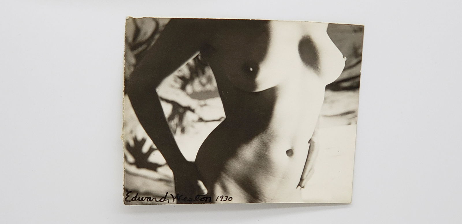 EDWARD WESTON ORIGINAL PHOTOGRAPH SIGNED DATED 1930 (1 of 3)