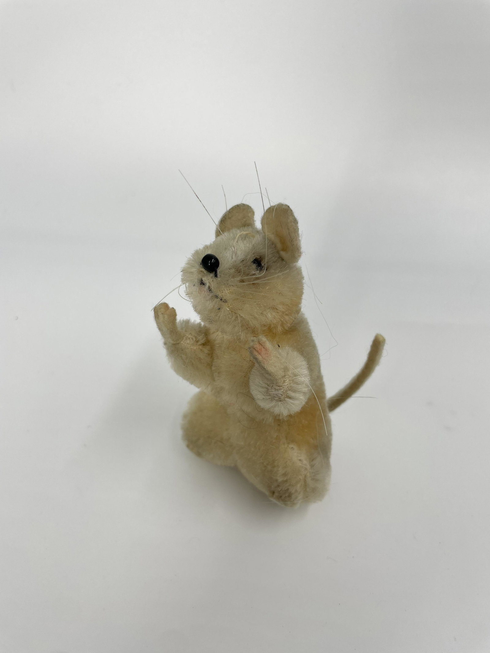 STEIFF MOUSE MISSING ORIGINAL EAR TAG: STEIFF MOUSE MISSING ORIGINAL EAR TAG 3 1/4" X 2" All items Located in in Hollywood Florida Warehouse For Shipping Call today for quote they have item numbers and Pak Mail is available for all your cu