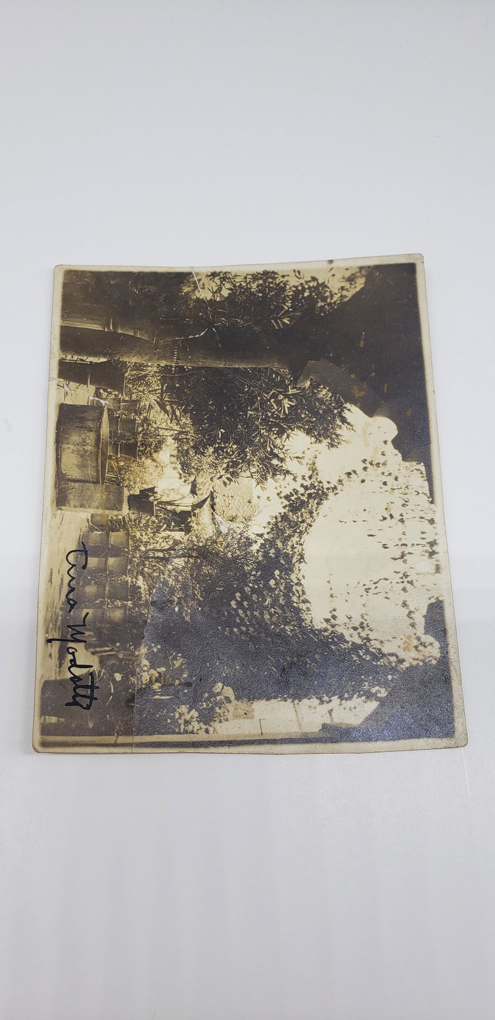 TINA MODOTTI PHOTOGRAPH: TINA MODOTTI MEXICAN PHOTOGRAPHER 4" X 3"Modotti (born Assunta Adelaide Luigia Modotti Mondini, August 16/17, 1896 â€“ January 5, 1942) was an Italian American photographer, model, actor, and rev