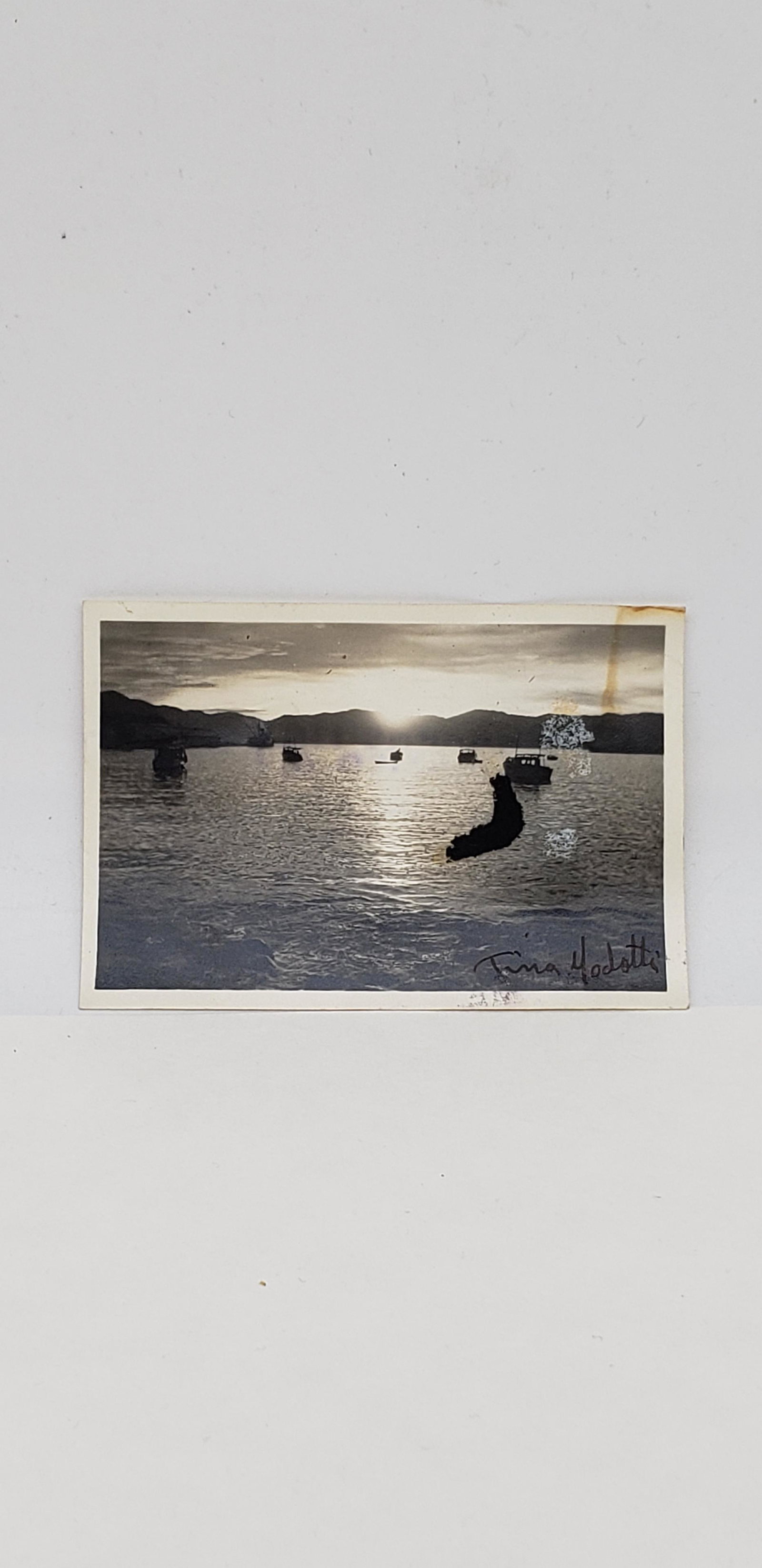 TINA MODOTTI PHOTOGRAPH: TINA MODOTTI PHOTOGRAPH SIGNED AND STUDIO STAMPED SLIGHT WRINKLING AND WATERMARK. SHOWN. 3 3/4" X 2 1/4" Modotti was born Assunta Adelaide Luigia Modotti Mondini in Udine, Friuli, Italy.As a young gir