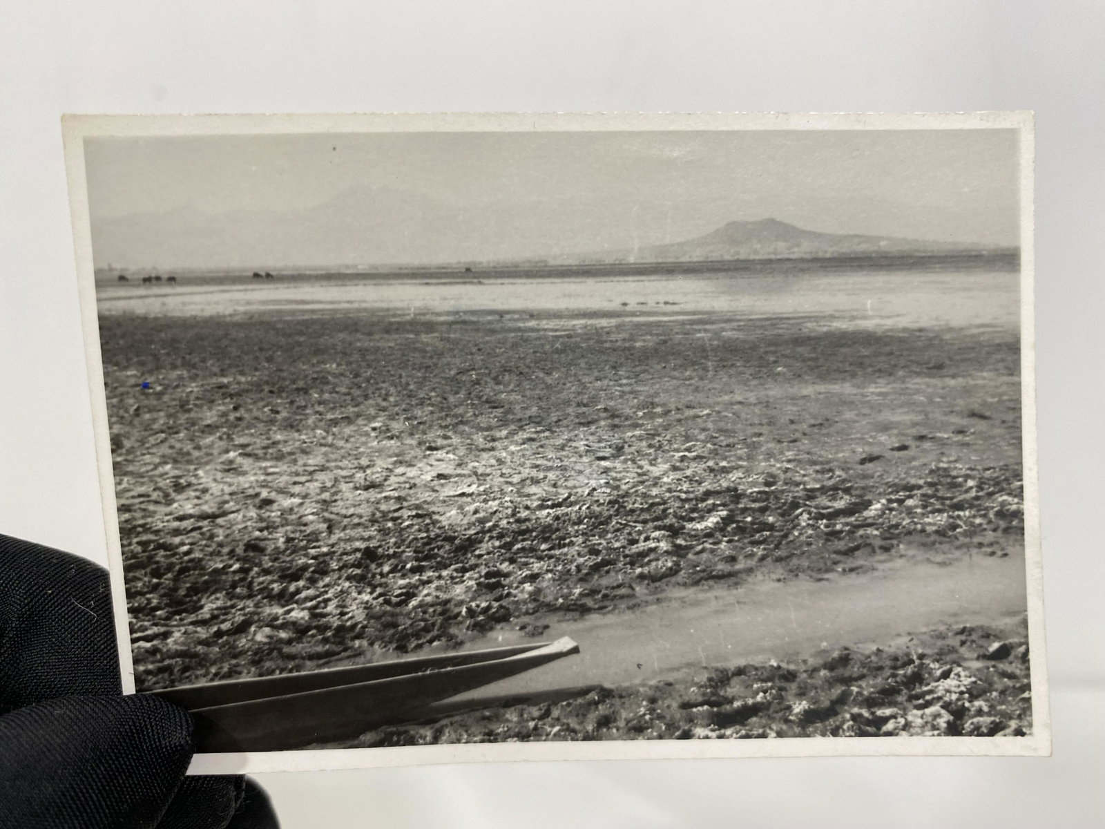 ORIGINAL HUGO BREHME (1882-1954) BLACK & WHITE PHOTOGRAPH MEXICO: ORIGINAL HUGO BREHME (1882-1954) BLACK & WHITE PHOTOGRAPH MEXICOâ€”â€”MEASURES APPROXIMATELY â€”2.5"X3.5"â€”WE CURRENTLY HAVE SEVERAL OTHER PHOTOGRAPHS BY HUGO BREHME AVAILABLE ON 