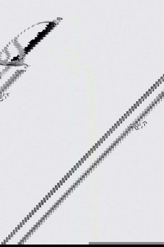 An officer's sabre, model 1888: Dating: late 19th Century Provenence: Italy Lama leggermente curva a un filo e controfilo, sgusciata al dorso che viene duplice verso il debole, inciso su entrambi i lati e marcata "E&F HÖRSTER" al t