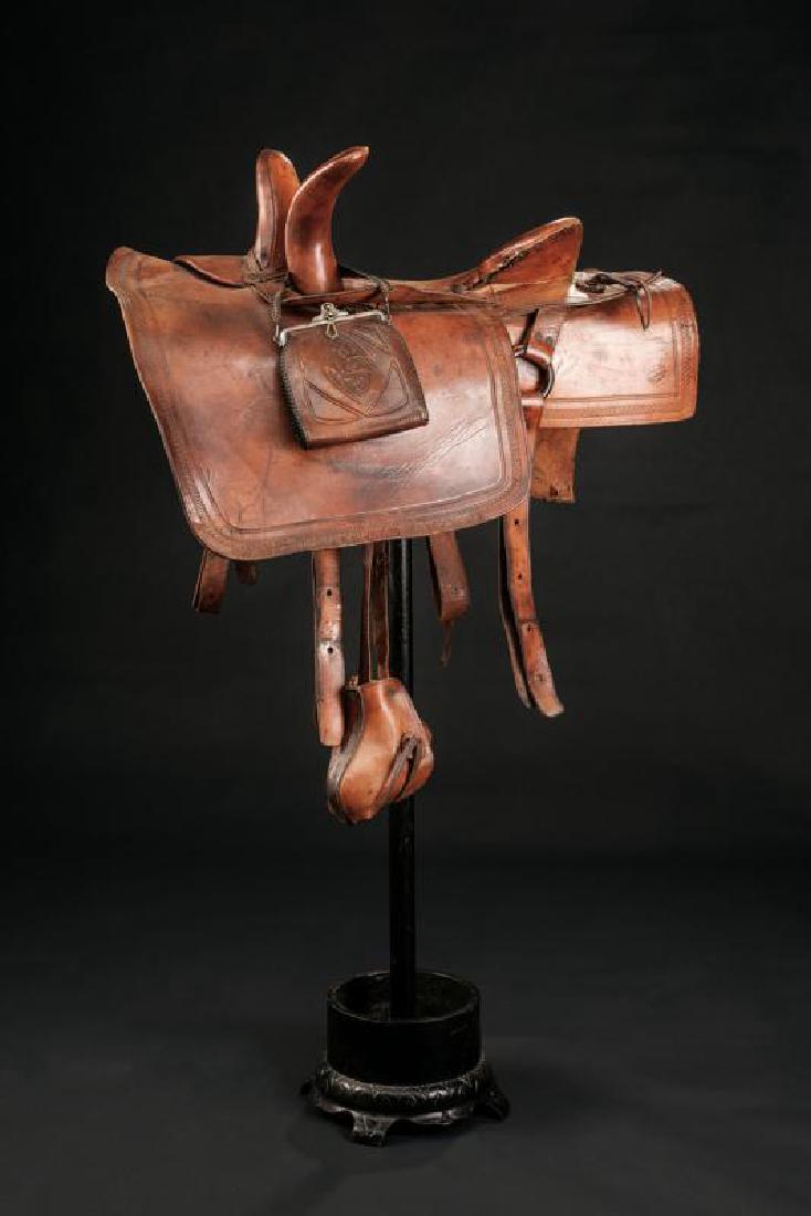 An Amazons saddle (1 of 4)