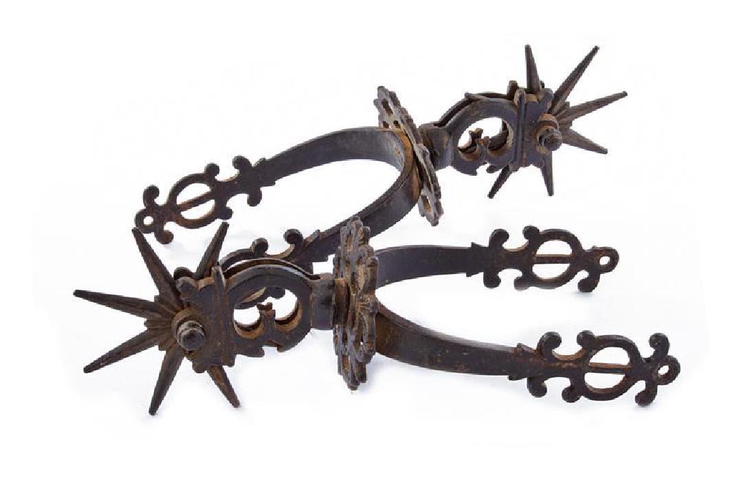 A pair of spurs (1 of 2)