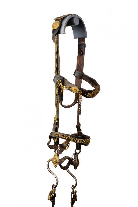 A rare horse bit with bridle of the guard of the (1 of 3)