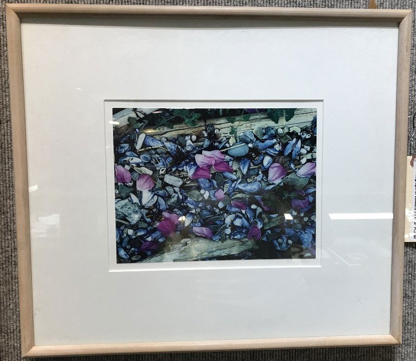 Photo of rose petals in Maine by Eliot Porter, c.1971. (1 of 6)