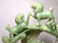 Chinese jade carving of dragon,circa 1980 - 6