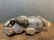 Five pieces of Chinese hardstone carving - 14