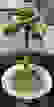 item-75819037=4