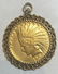 1908 Indian head 10 dollar gold coin, 13.6 dwts