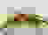 item-104003884=5