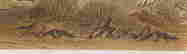 item-108795162=3