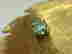 item-108795185=2