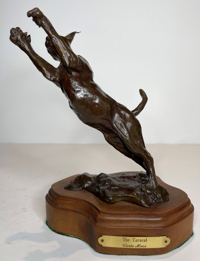 The Caracal, bronze big cat by Carla Moss (1 of 9)