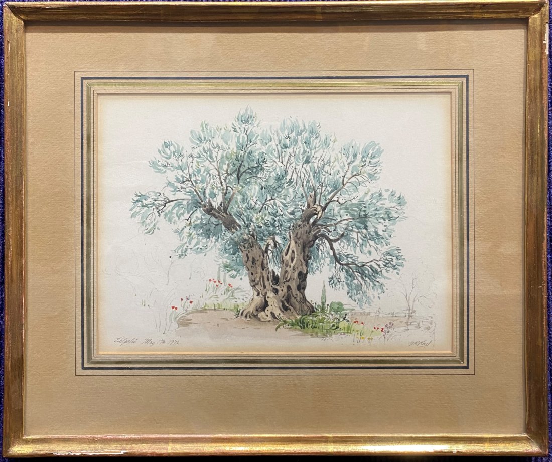 Watercolor of olive tree by Graham Rust, d1976 (1 of 7)
