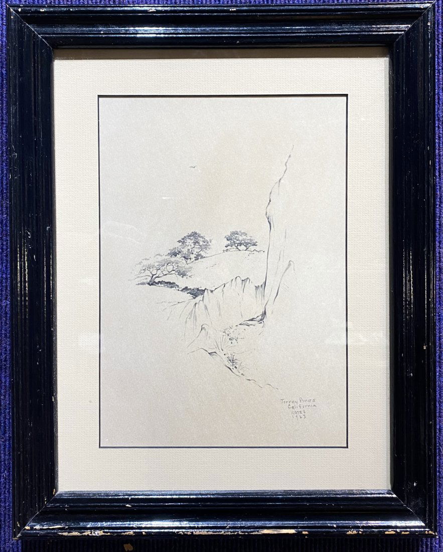 1923 pencil drawing by Lee Hayes, Torrey Pines CA (1 of 7)