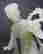 item-131057958=6