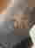 item-131057975=5