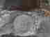 item-131057975=7