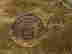 item-131057980=6