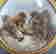 item-131057988=2