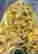 item-131058002=10