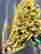 item-131058002=11