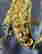 item-131058002=9