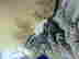 item-131058010=10