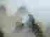 item-131058010=12