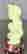 item-131058012=6