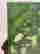 item-131058014=10