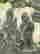 item-131058014=5