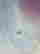 item-131058015=11