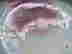 item-131058015=12
