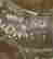 item-131058020=5