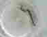 item-131058041=12