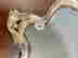 item-131058050=6