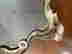 item-131058050=7