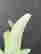 item-131058060=6
