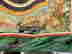 item-131058101=6