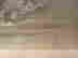 item-131884900=6