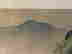 item-131884900=7