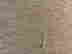 item-131884900=9