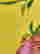item-131884905=13